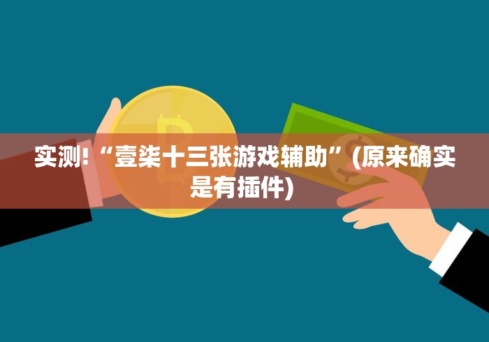 实测!“壹柒十三张游戏辅助”(原来确实是有插件) 