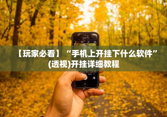 【玩家必看】“手机上开挂下什么软件”(透视)开挂详细教程