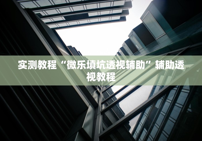 实测教程“微乐填坑透视辅助	”辅助透视教程
