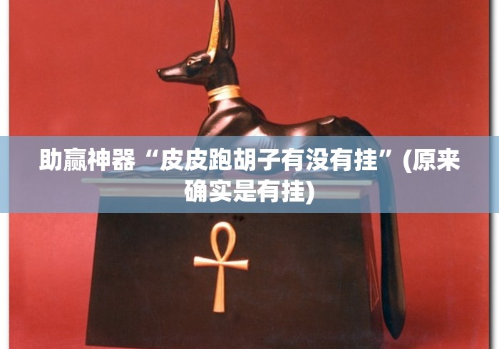 助赢神器“皮皮跑胡子有没有挂”(原来确实是有挂)