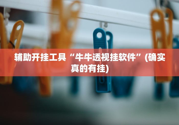 辅助开挂工具“牛牛透视挂软件”(确实真的有挂)