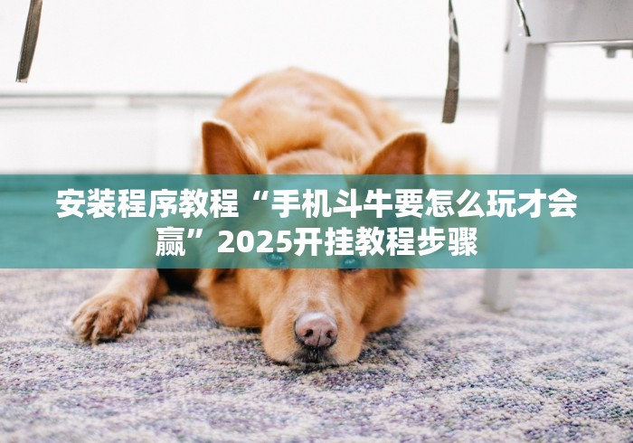 安装程序教程“手机斗牛要怎么玩才会赢”2025开挂教程步骤