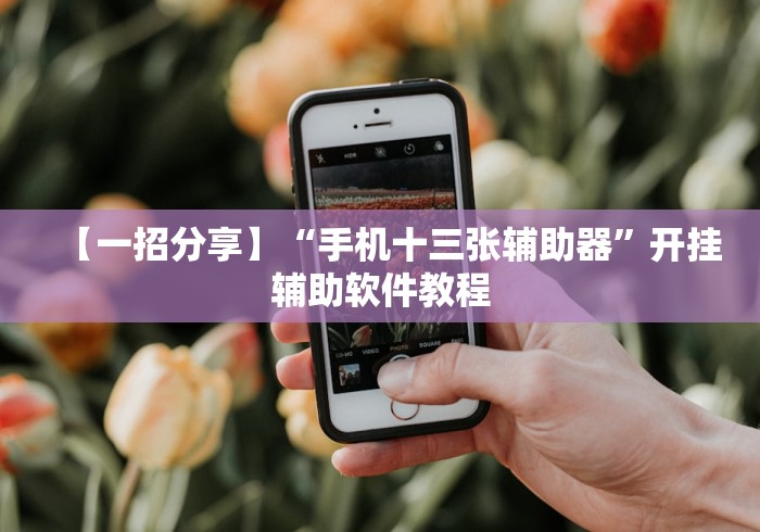 【一招分享】“手机十三张辅助器”开挂辅助软件教程