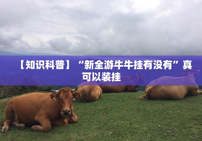 【知识科普】“新全游牛牛挂有没有”真可以装挂