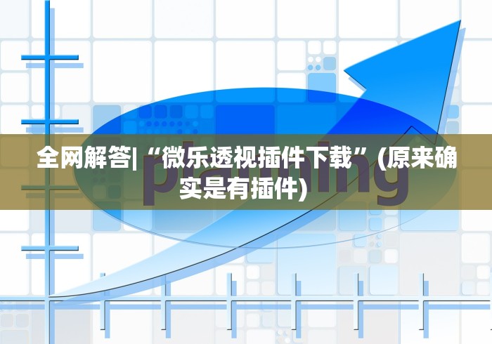 全网解答|“微乐透视插件下载”(原来确实是有插件) 