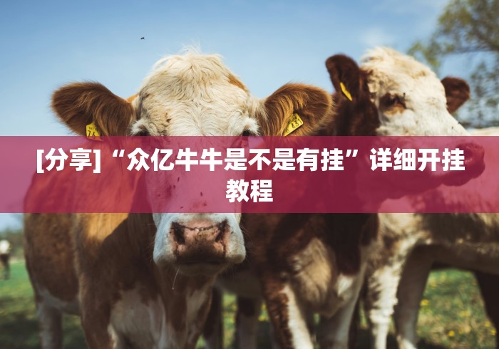 [分享]“众亿牛牛是不是有挂”详细开挂教程