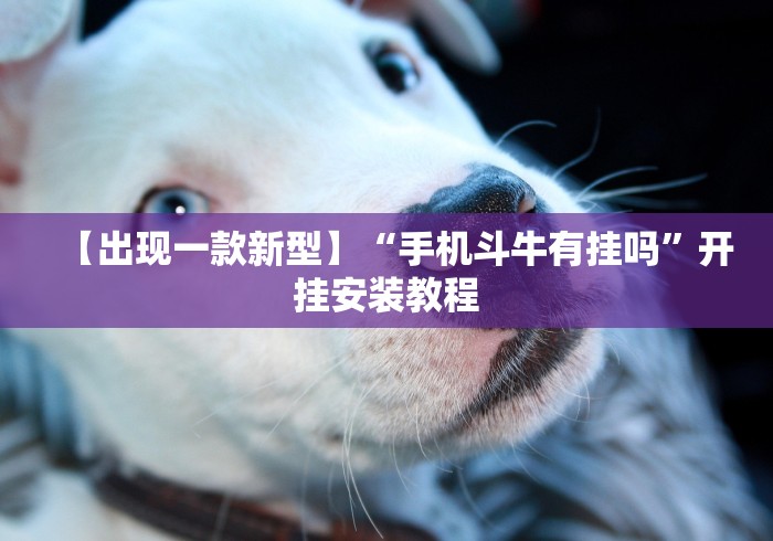 【出现一款新型】“手机斗牛有挂吗”开挂安装教程