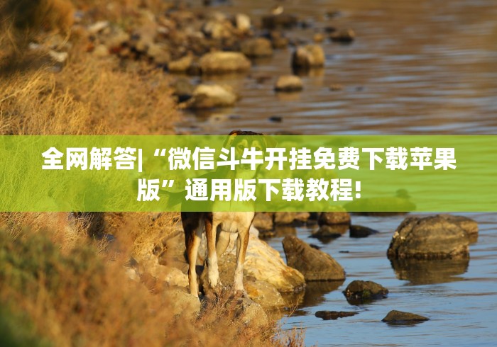 全网解答|“微信斗牛开挂免费下载苹果版”通用版下载教程!