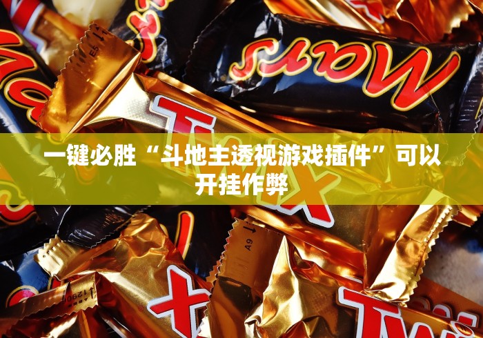 一键必胜“斗地主透视游戏插件”可以开挂作弊