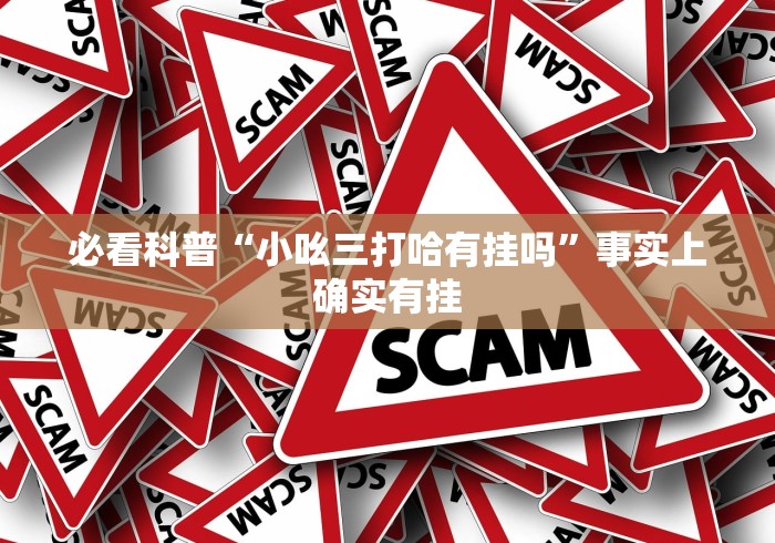 必看科普“小吆三打哈有挂吗”事实上确实有挂
