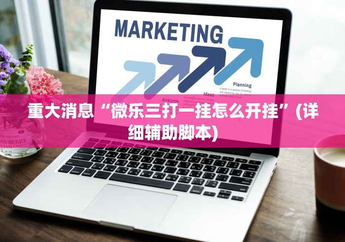 重大消息“微乐三打一挂怎么开挂”(详细辅助脚本)