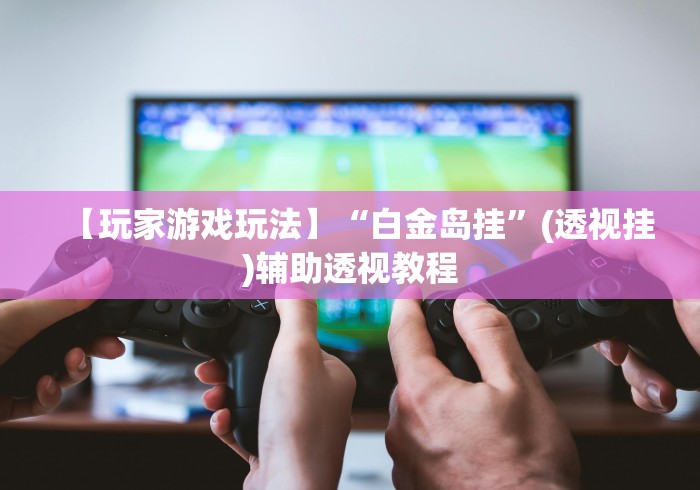 【玩家游戏玩法】“白金岛挂”(透视挂)辅助透视教程