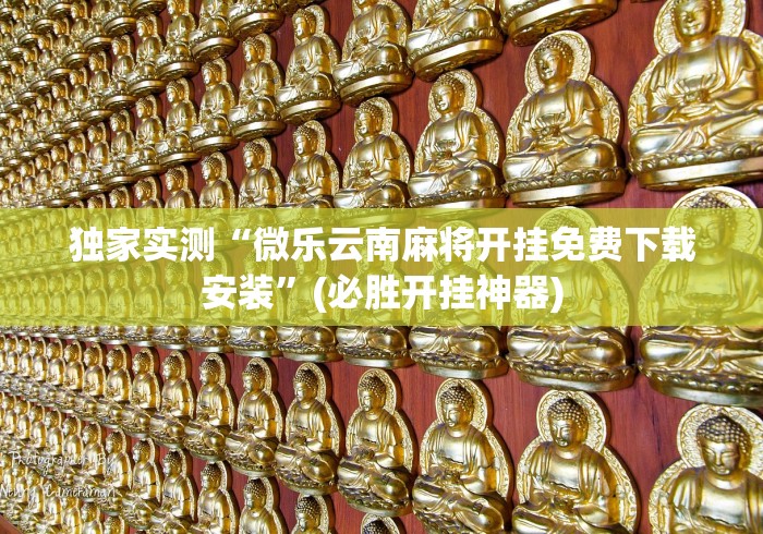 独家实测“微乐云南麻将开挂免费下载安装”(必胜开挂神器)