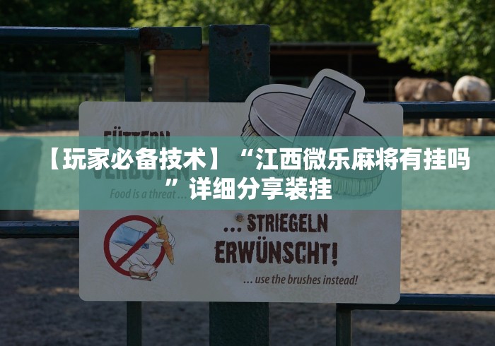 【玩家必备技术】“江西微乐麻将有挂吗”详细分享装挂