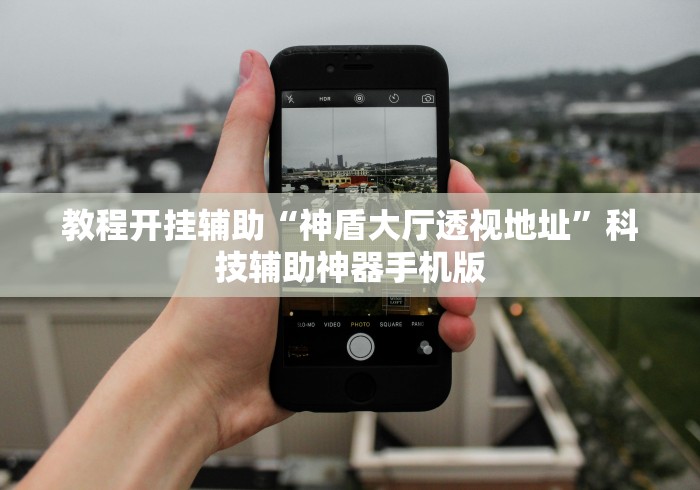 教程开挂辅助“神盾大厅透视地址”科技辅助神器手机版