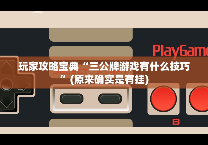 玩家攻略宝典“三公牌游戏有什么技巧”(原来确实是有挂)