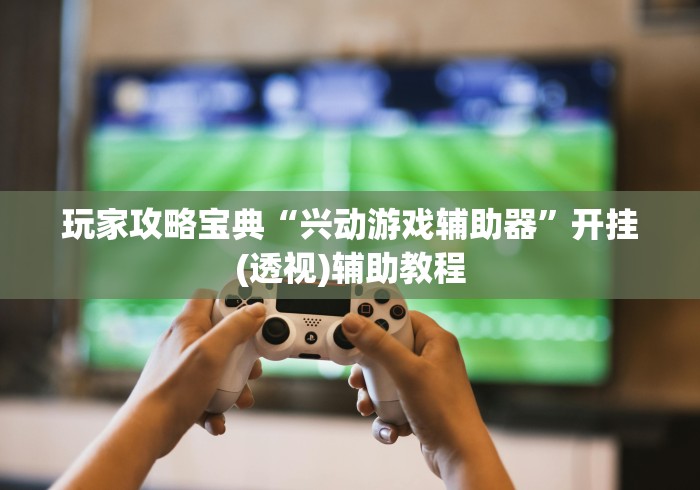 玩家攻略宝典“兴动游戏辅助器	”开挂(透视)辅助教程