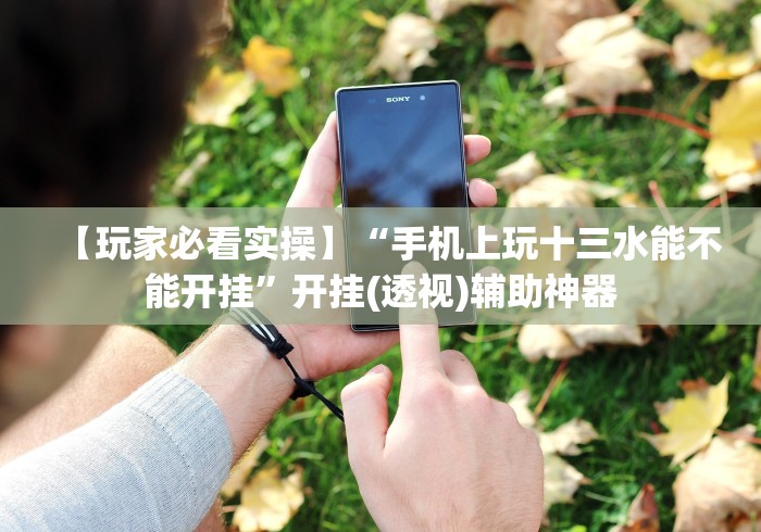 【玩家必看实操】“手机上玩十三水能不能开挂”开挂(透视)辅助神器