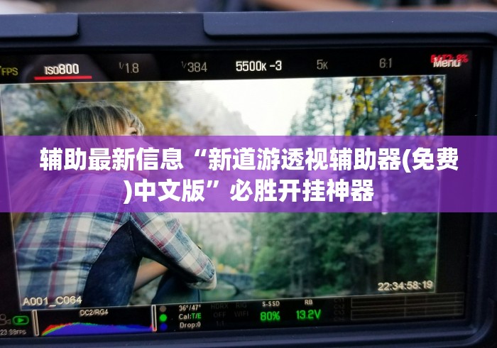辅助最新信息“新道游透视辅助器(免费)中文版”必胜开挂神器